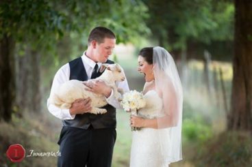 Goat On A Leash - Entertains guests or as a photo op