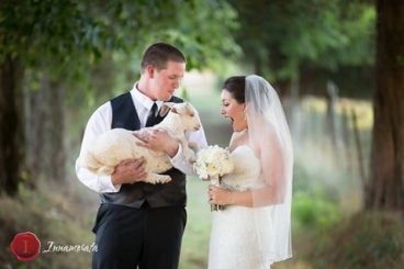 Goat Visitation - Entertains guests or as a photo op